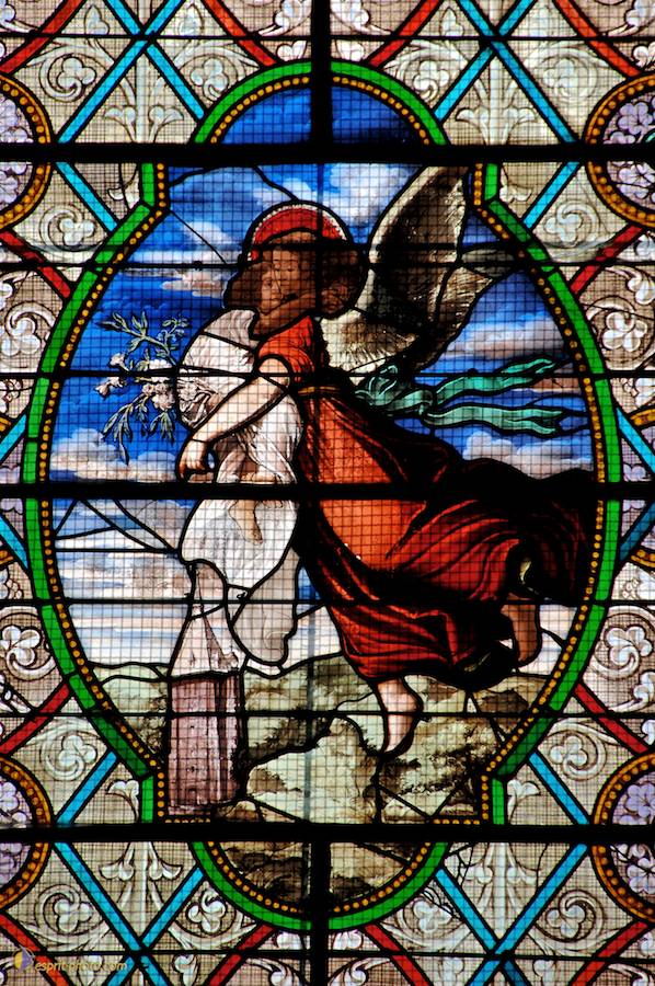 Nom de l'image : E2067287_1_(c)Norbert-JUNG — Description :